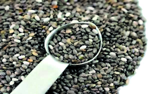 Chia Seeds Chia Seeds